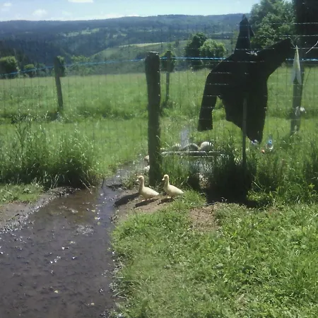 Familial A Proximite D'une Mini Ferme *