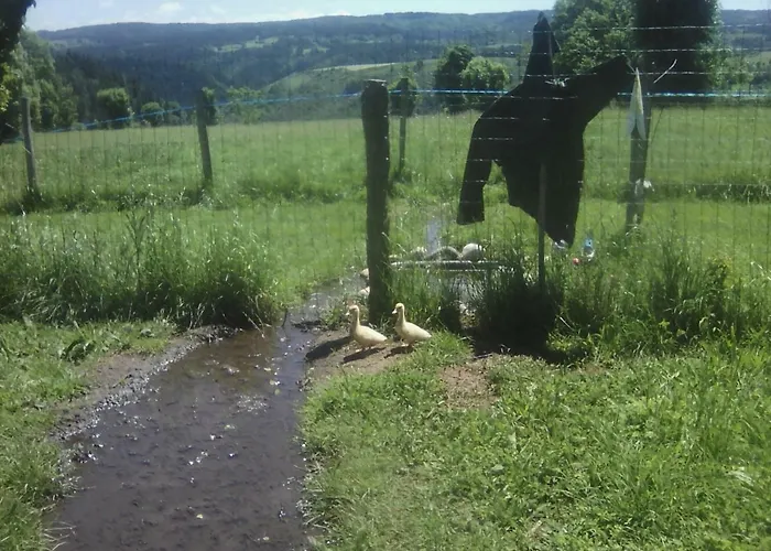 Familial A Proximite D'une Mini Ferme *